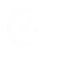 Halloween Stars Sticker by Charley