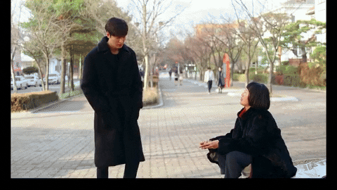 Stumps49 giphyupload GIF
