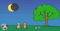 Solar Eclipse GIF by NASA