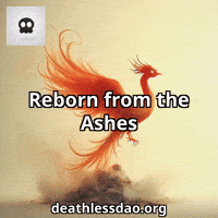 Space Humor GIF by deathlessdao