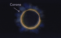 solar eclipse sun GIF by Warby Parker