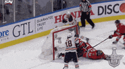 Celebrate Ice Hockey GIF by NHL