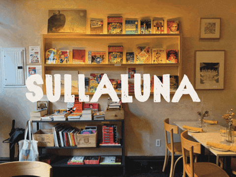Sulla Luna GIF