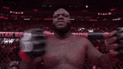 Mixed Martial Arts Sport GIF by UFC