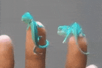 Baby Pushing GIF
