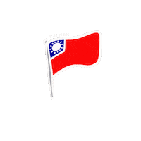 Flag Olympics Sticker