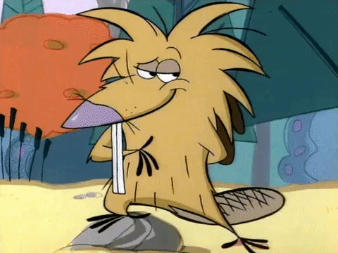 nickrewind giphydvr nicksplat angry beavers giphyab002 GIF
