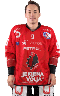 Hockey Hokej Sticker by HDD SIJ Acroni Jesenice