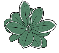 slnp_ sticker white nature flower Sticker