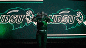 Ndsu Softball GIF by NDSU Athletics
