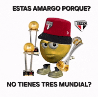 Sao Paulo GIF