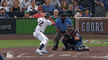 Washington Nationals Sport GIF by MLB