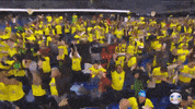 Brasil GIF by TV Globo