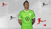 Vfl Wolfsburg Goodbye GIF by Bundesliga