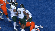 Csurams Gorams GIF by Colorado State Rams