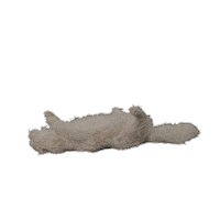 Popcorn Sticker by Amazon Prime Video