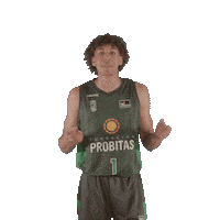 Liga Endesa Basketball Sticker by ACB