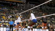 GIF by Pitt Panthers
