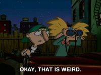hey arnold nicksplat GIF