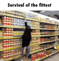 survival GIF