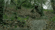 mountain biking GIF by Santa Cruz Bicycles