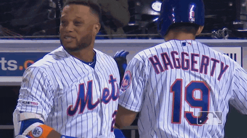 Ny Mets Sport GIF by New York Mets