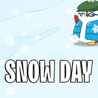 Happy Snow Day GIF by Pudgy Penguins