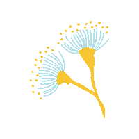 Travel Sticker by Australia