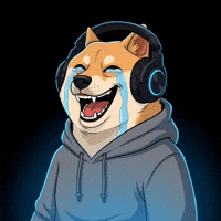 Shiba Inu Lol GIF by Doge Pound