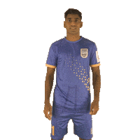 Fernandes Heroisl Sticker by Indian Super League