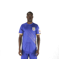 Heroisl What Sticker by Indian Super League