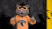 Uwaterloo Oua GIF by Waterloo Warriors