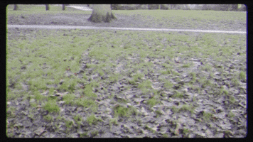 Running Man New Song GIF by bsmrocks