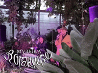 Orangery GIF by Russian Music Seasons