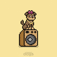 Do It Party GIF by Doginal Dogs