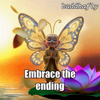 Peace Sunset GIF by BuddhaFlyJourney