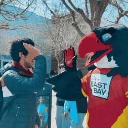 Falcon GIF by Cal State East Bay
