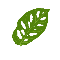 Plant Mom Sticker