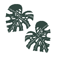 Plants Monstera Sticker