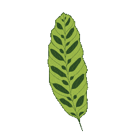 Lemon Lime Plant Mom Sticker