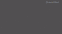 Shape animated design design pack studio motion