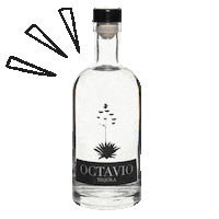 Octaviotequila octavio octaviotequila Sticker