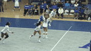 Air Force GIF by Air Force Falcons