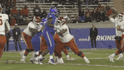 Air Force GIF by Air Force Falcons