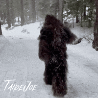 Found Footage Happy Dance GIF by 105ive Films