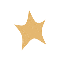 Gold Star Sticker by Small Stuff