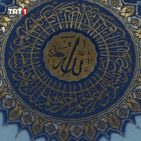 Night Drone GIF by TRT