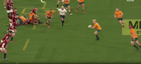 lorenzocalamai giphyupload GIF