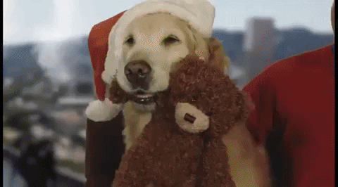Golden Retriever Dog GIF