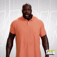 season 1 episode 3 GIF by Big Chicken Shaq